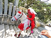 勇壮「マダラ鬼神祭」 雨引山楽法寺